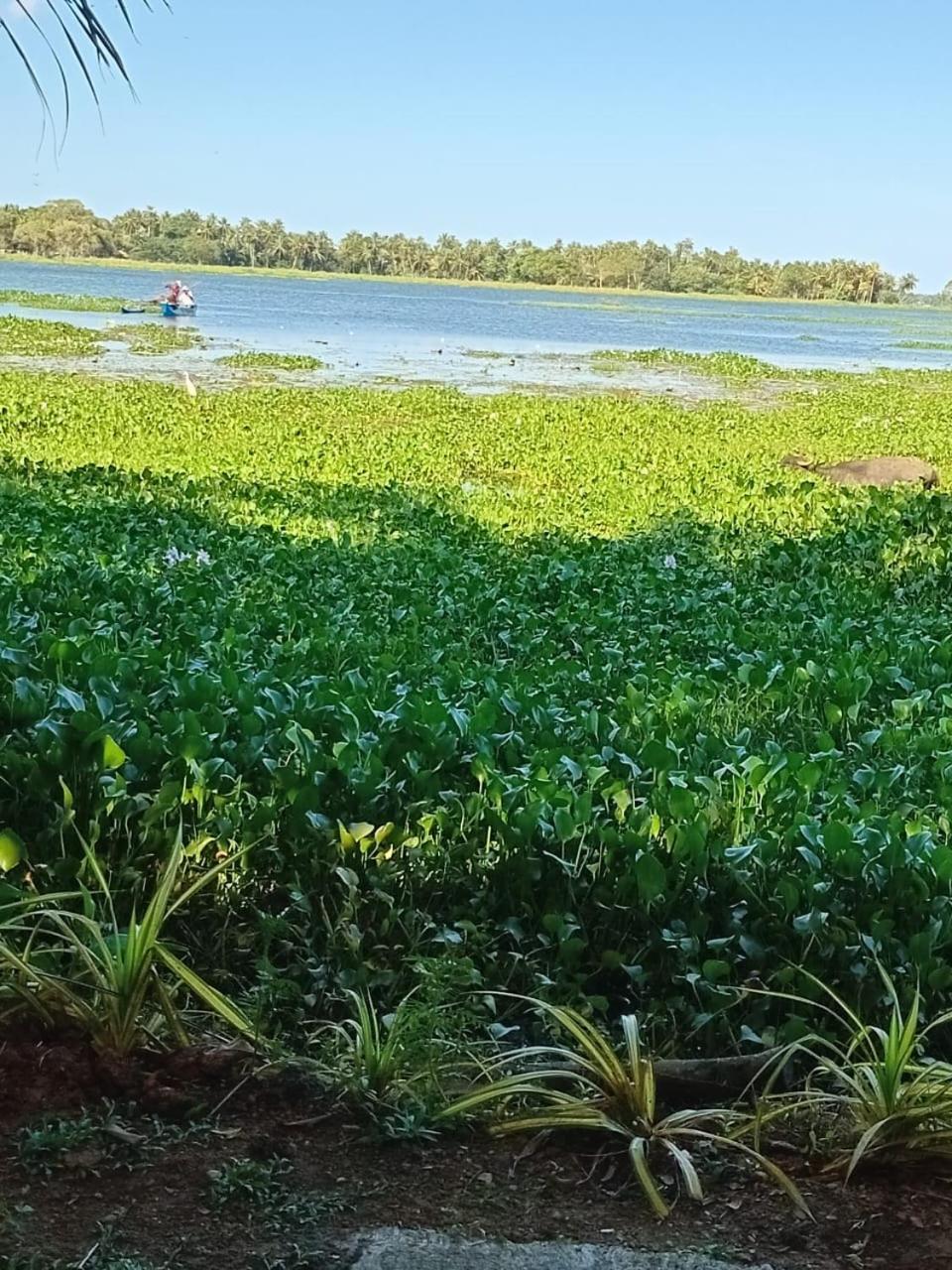 Lake Face Cabana Tissamaharama Zewnętrze zdjęcie